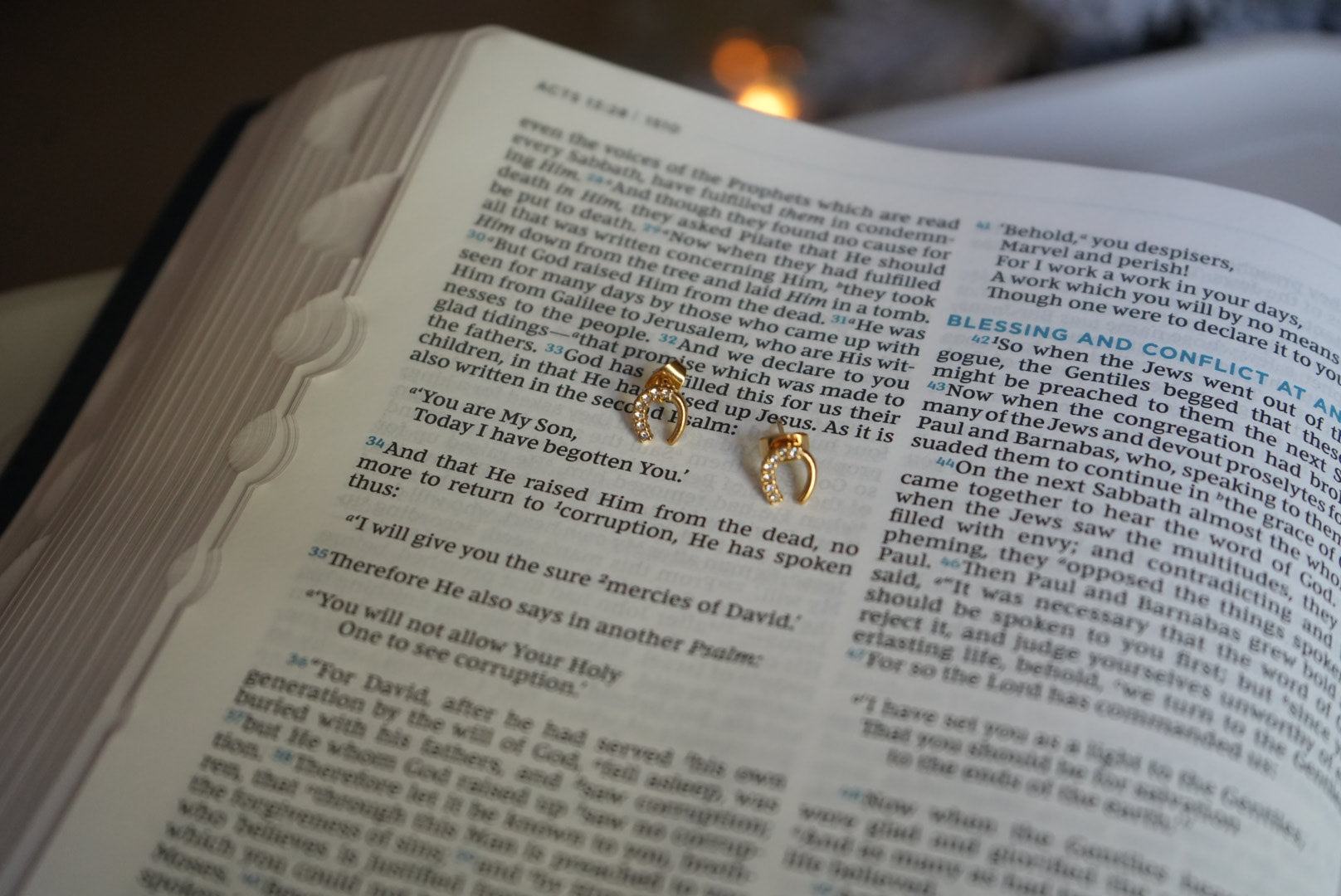 Lucky Charm Horse Shoe Studs